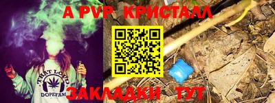 кокс Моздок