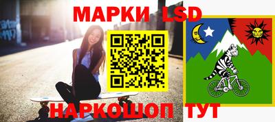 шишки Можга