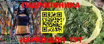 шишки Можга