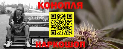 шишки Можга