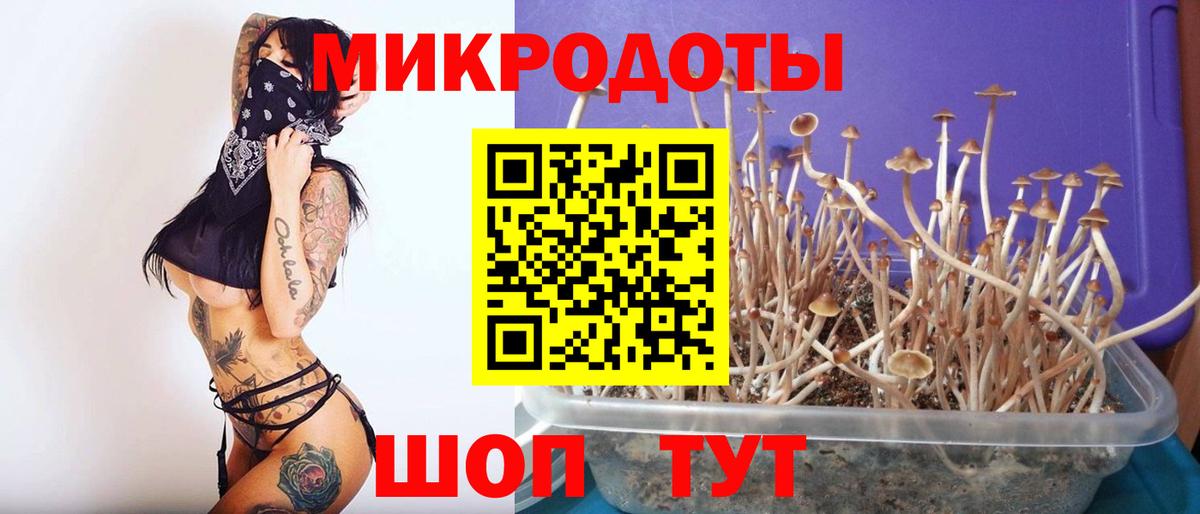 Галлюциногенные грибы Psilocybe  Галлюциногенные грибы Cubensis  Вход с VPN  Саров 